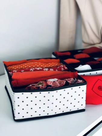 Купить Органайзер для бюстгальтеров Eco White, 6 секций (31х24х11 см)