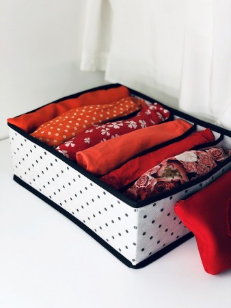 Купить Органайзер для бюстгальтеров Eco White, 6 секций (31х24х11 см)