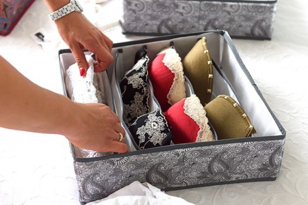 Купить Органайзер для бюстгальтеров