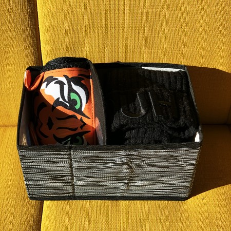 Купить Коробка для вещей в прихожую, гардеробную Liverpool (25х15х14 см)