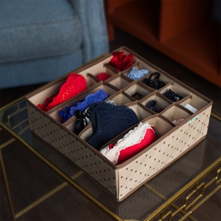 Купить Органайзер для нижнего белья и бюстгальтеров